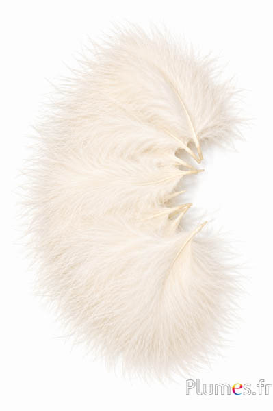 Tacchino marabù - 8-12 cm - crema